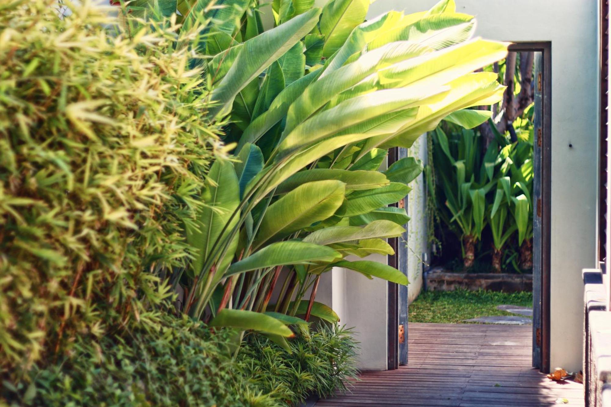 Hu'U Villas Seminyak Oda fotoğraf